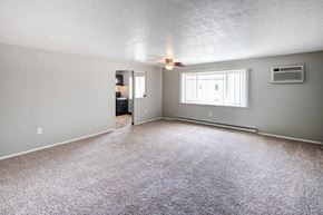 South Park apartment for rent - A spacious room with a carpeted floor and a ceiling fan.