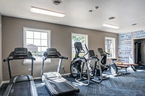 Harrisburg apartment for rent - a gym with cardio equipment on the floor and windows