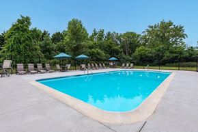 Niskayuna apartment for rent - a pool with chairs and umbrellas at a resort style pool