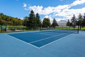 Camillus apartment for rent - a tennis court at a park with trees and a building in the background