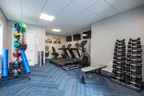 Rochester apartment for rent - the gym in our new building is equipped with cardio equipment and weights