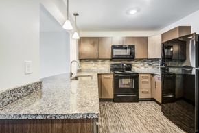 Rochester apartment for rent - Kitchen