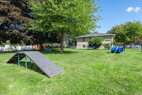 Rochester apartment for rent - a backyard with a swing set and a seesaw in the grass
