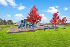 Canandaigua townhouse for rent - A playground with a blue slide and red trees.