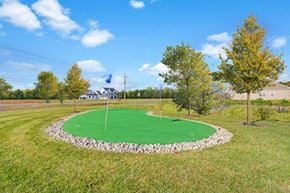 Canandaigua townhouse for rent - A green putting green in the middle of a grassy area.