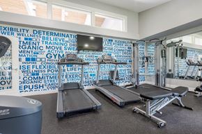 Penfield apartment for rent - a gym with weights and a wall of gym equipment