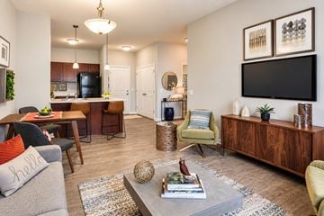 Rochester apartment for rent - A living room with a grey sofa and a wooden cabinet.