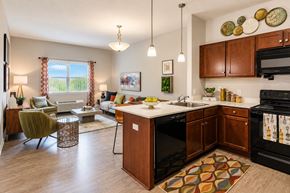Rochester apartment for rent - A kitchen with a black oven and wooden cabinets.