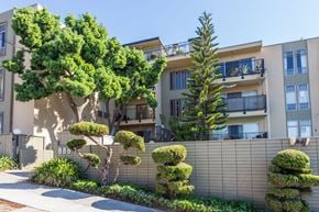 Oakland apartment for rent - A tree with green leaves is in front of a building with balconies.