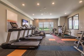 Dayton apartment for rent - a gym with treadmills and cardio equipment at the flats at 3600 apartments
