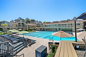 Mill Valley apartment for rent - an aerial view of an outdoor pool with umbrellas and lounge chairs and buildings