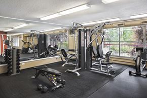 Calgary apartment for rent - fitness facility with a bench press and weight machine