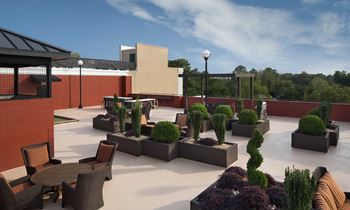 Renovated roof top terrace