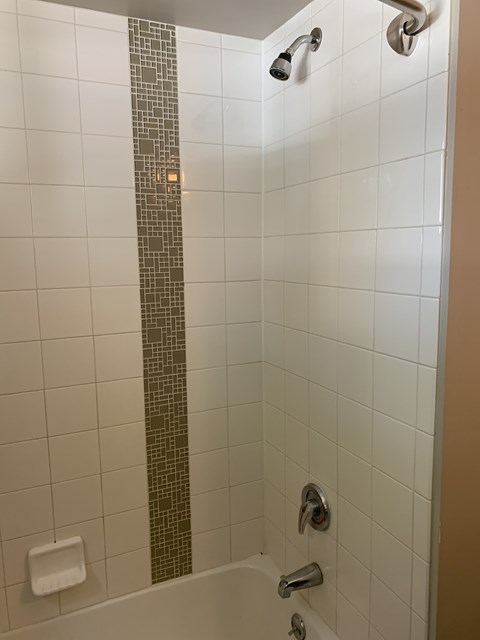Floor plan for 1 bed, 1 bath