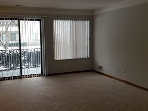 Shelby Twp apartment for rent - an empty living room with a large window and