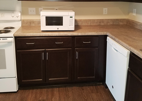 Roanoke Rapids apartment for rent - Kitchen 2