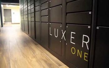 Luxer package system