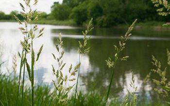 60 Acre spring creek nature reserve of richardson