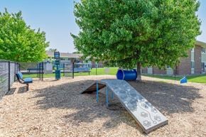 Webster apartment for rent - our park has a playground and a tree and a bench