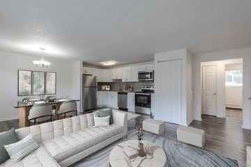 Webster apartment for rent - an open living room and kitchen with a white couch