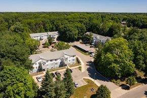 Grand Rapids apartment for rent - an aerial view of a neighborhood with houses and trees