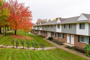 Medina townhouse for rent - a row of houses with a lawn and trees in front of them