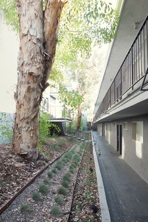 Los Angeles apartment for rent - a corridor between two buildings next to a tree