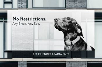 Pet friendly