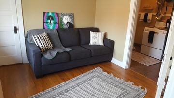 Jonesboro apartment for rent - a living room with a couch and a rug