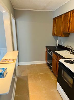 Jonesboro apartment for rent - an empty kitchen with a stove and a sink