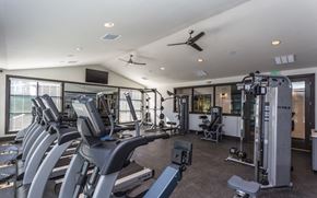 Brighton apartment for rent - the gym at the preserve at green valley townhomes in green valley va