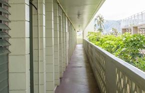 Honolulu apartment for rent - A long balcony with a railing and plants on the side.
