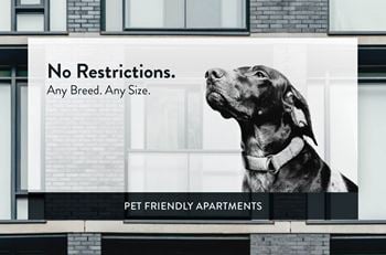 Bellaire estates pet friendly