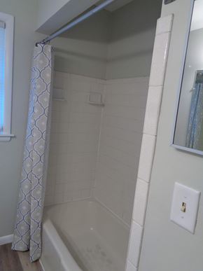 Kalamazoo house for rent - a bathroom with a shower and a tub and a curtain
