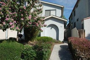 San Diego apartment for rent - a white house with a tree in front of it