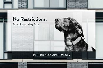 1797 Stillwater pet friend, no weight or breed restrictions