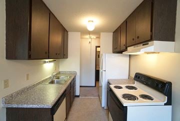 St. Paul apartment for rent - a kitchen with a stove and a sink and a refrigerator