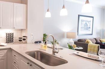 Hayes house - large under-mount stainless steel sinks in select units