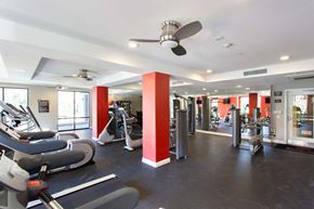 Woodland Hills apartment for rent - 24-Hour Fitness Center at Enclave at Warner Center, California, 91303