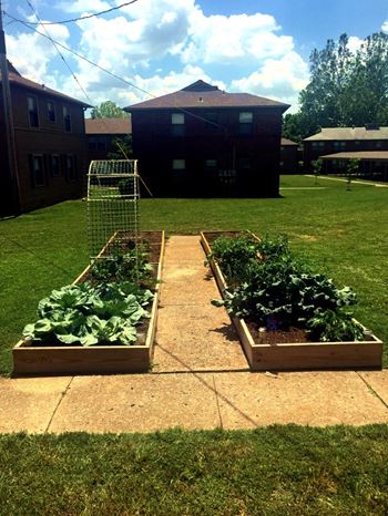 Community garden