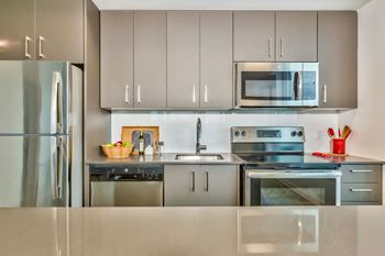 Stainless steel appliances