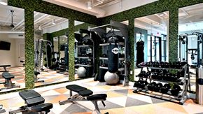 Mckinney apartment for rent - A weight bench with weights and a heavy bag to the right. The back walls are mirrored with ivy around them.