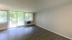 Euclid apartment for rent - 1 Bedroom 1 Bath Living Room