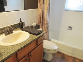 Saint Charles apartment for rent - a bathroom with a sink and a toilet and a bath tub