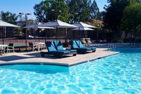 Riverside apartment for rent - A pool with a blue tinted water and a white umbrella.