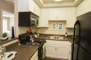 Riverside apartment for rent - Apartment Kitchen