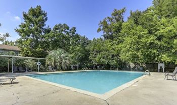 Sparkling swimming pool