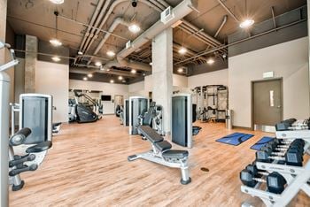 Fitness studio with free weights