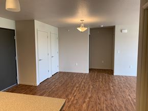 Willmar apartment for rent - a empty living room with wood flooring and a ceiling lamp