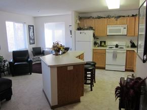 Hudson apartment for rent - a kitchen and living room with a counter top